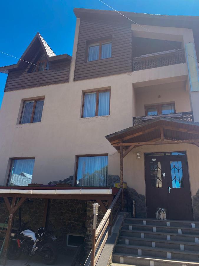 Amadeus Hotel Bakuriani Kültér fotó